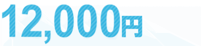 12,000円（税込）